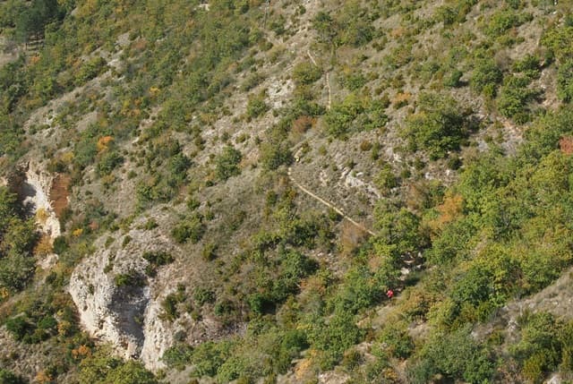 Festival des Templiers 2013