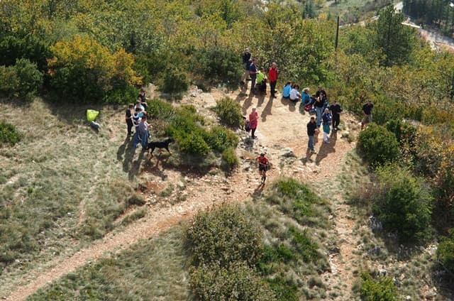 Festival des Templiers 2013