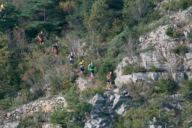 Festival des Templiers 2013