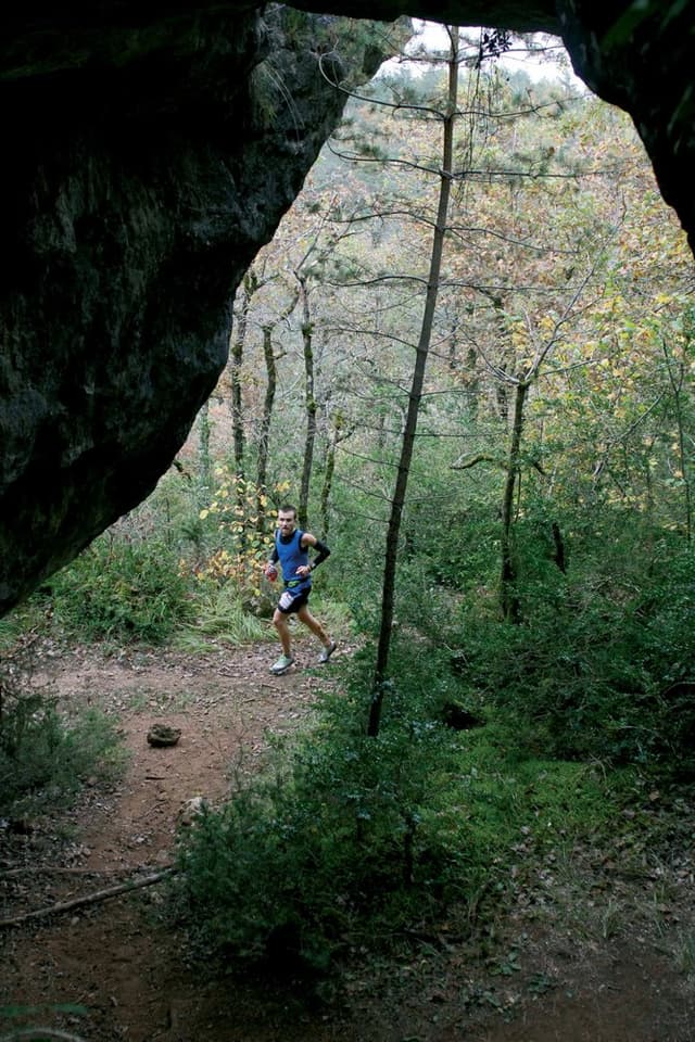 Festival des Templiers 2013