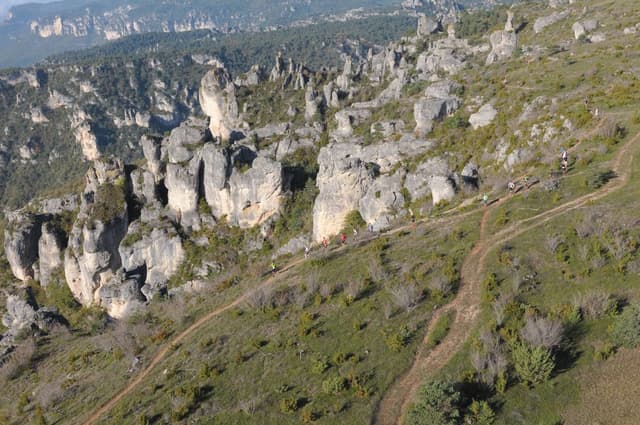 Festival des Templiers 2013