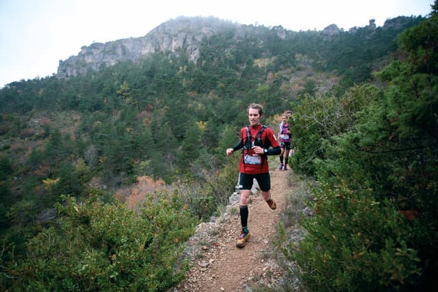 Festival des Templiers 2013
