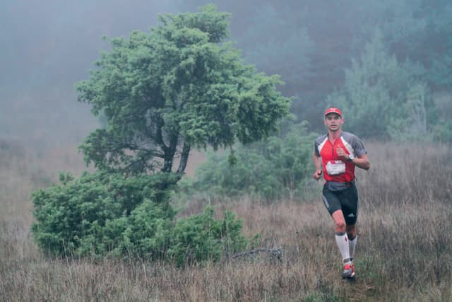 Festival des Templiers 2013