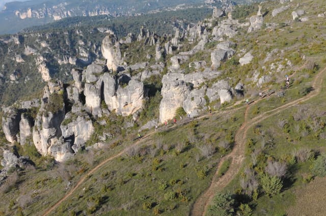 Festival des Templiers 2013