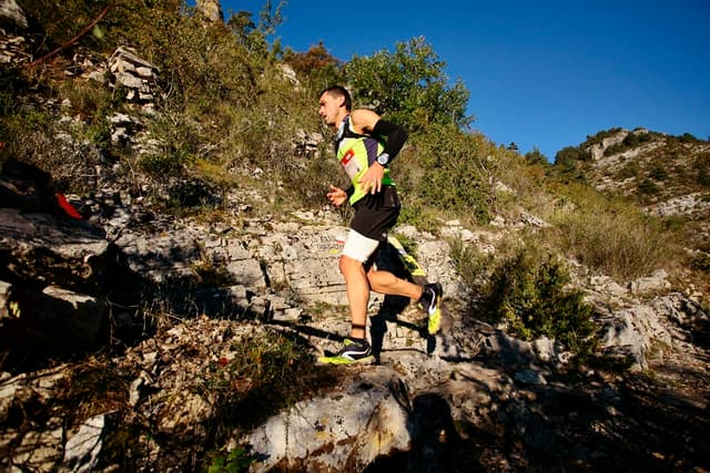 Festival des Templiers 2014