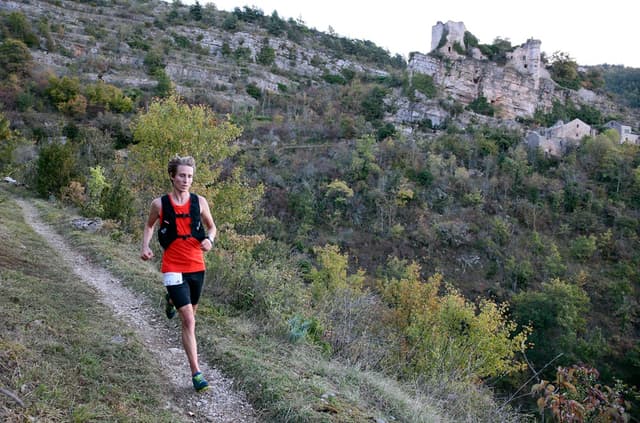 Festival des Templiers 2014