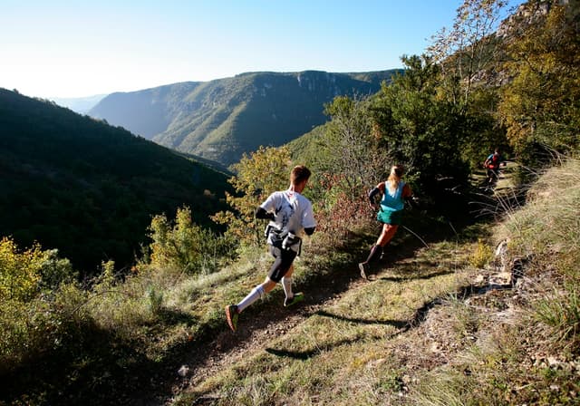 Festival des Templiers 2014
