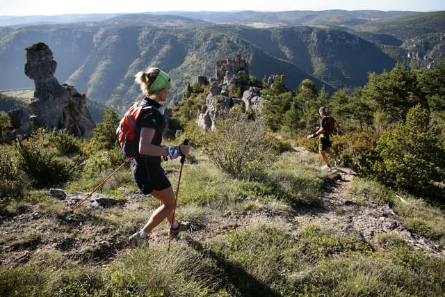 Festival des Templiers 2014