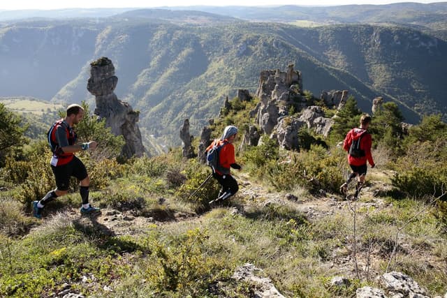 Festival des Templiers 2014