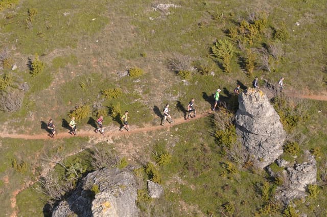 Festival des Templiers 2014