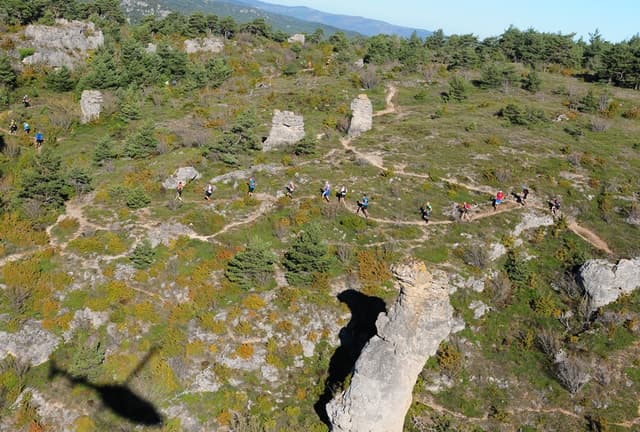 Festival des Templiers 2014