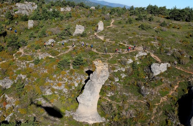 Festival des Templiers 2014