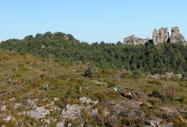 Festival des Templiers 2014