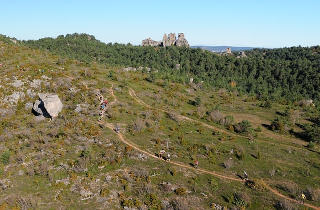 Festival des Templiers 2014
