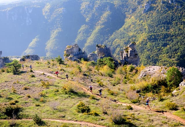 Festival des Templiers 2014