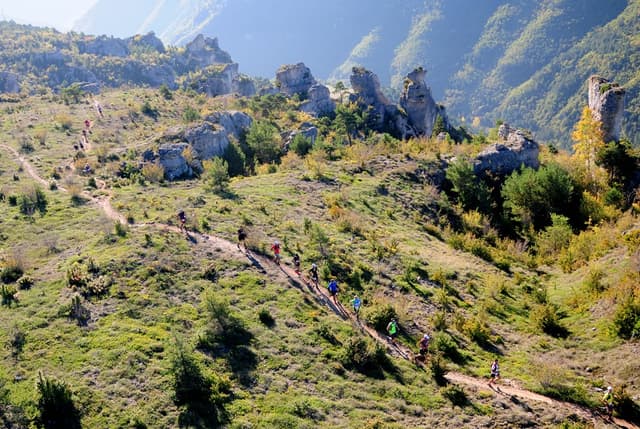 Festival des Templiers 2014