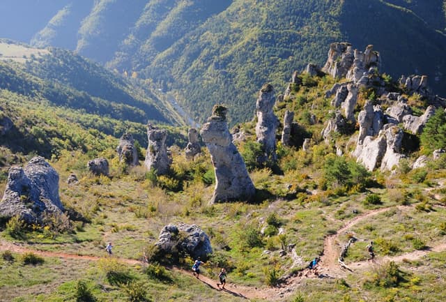 Festival des Templiers 2014