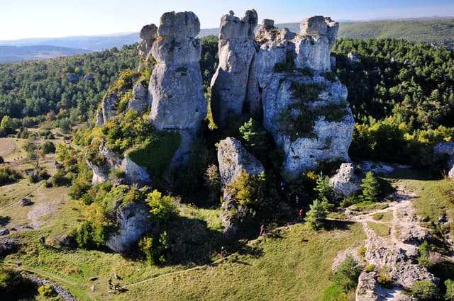 Festival des Templiers 2014