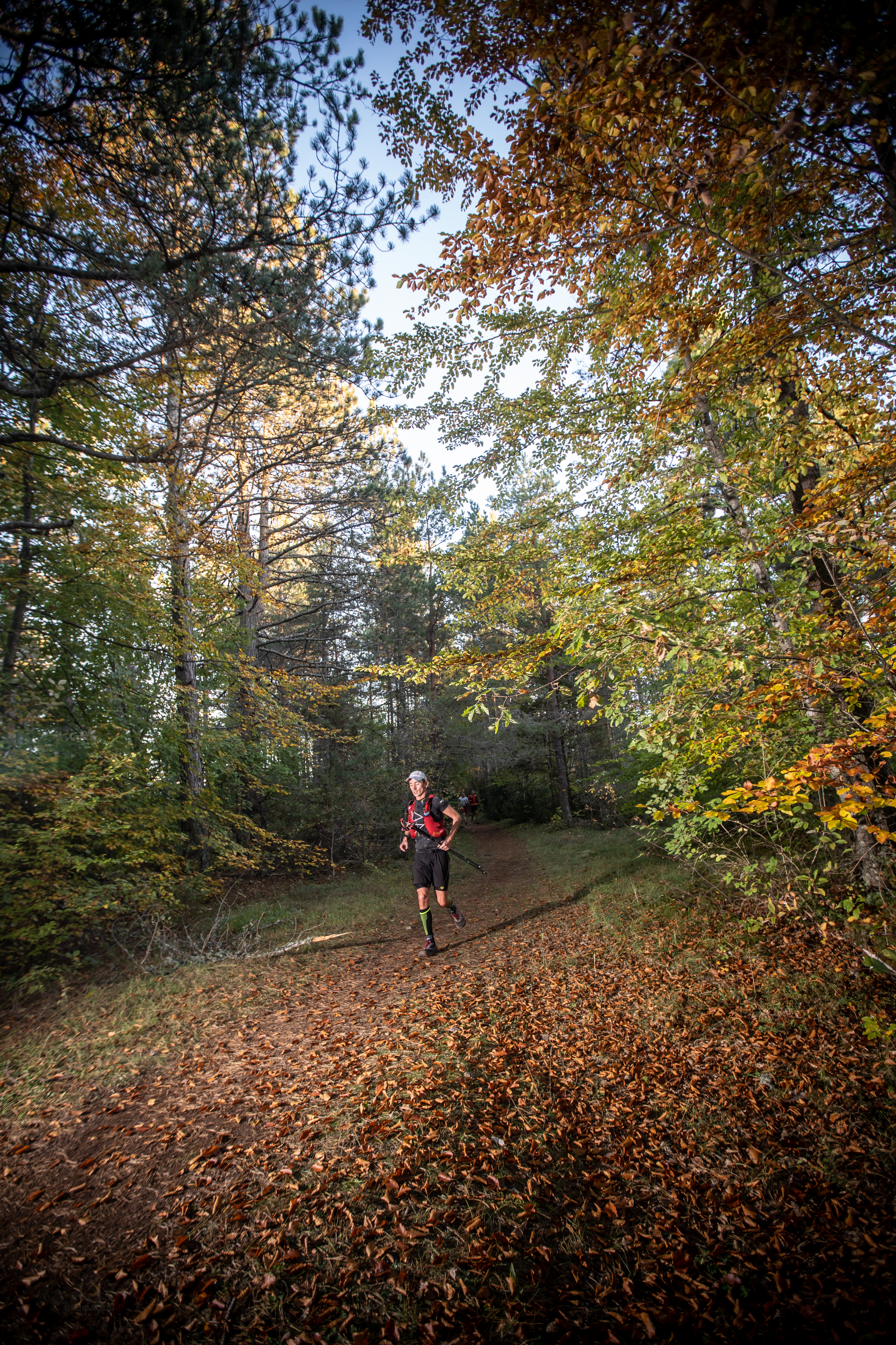 Festival des Templiers 2018