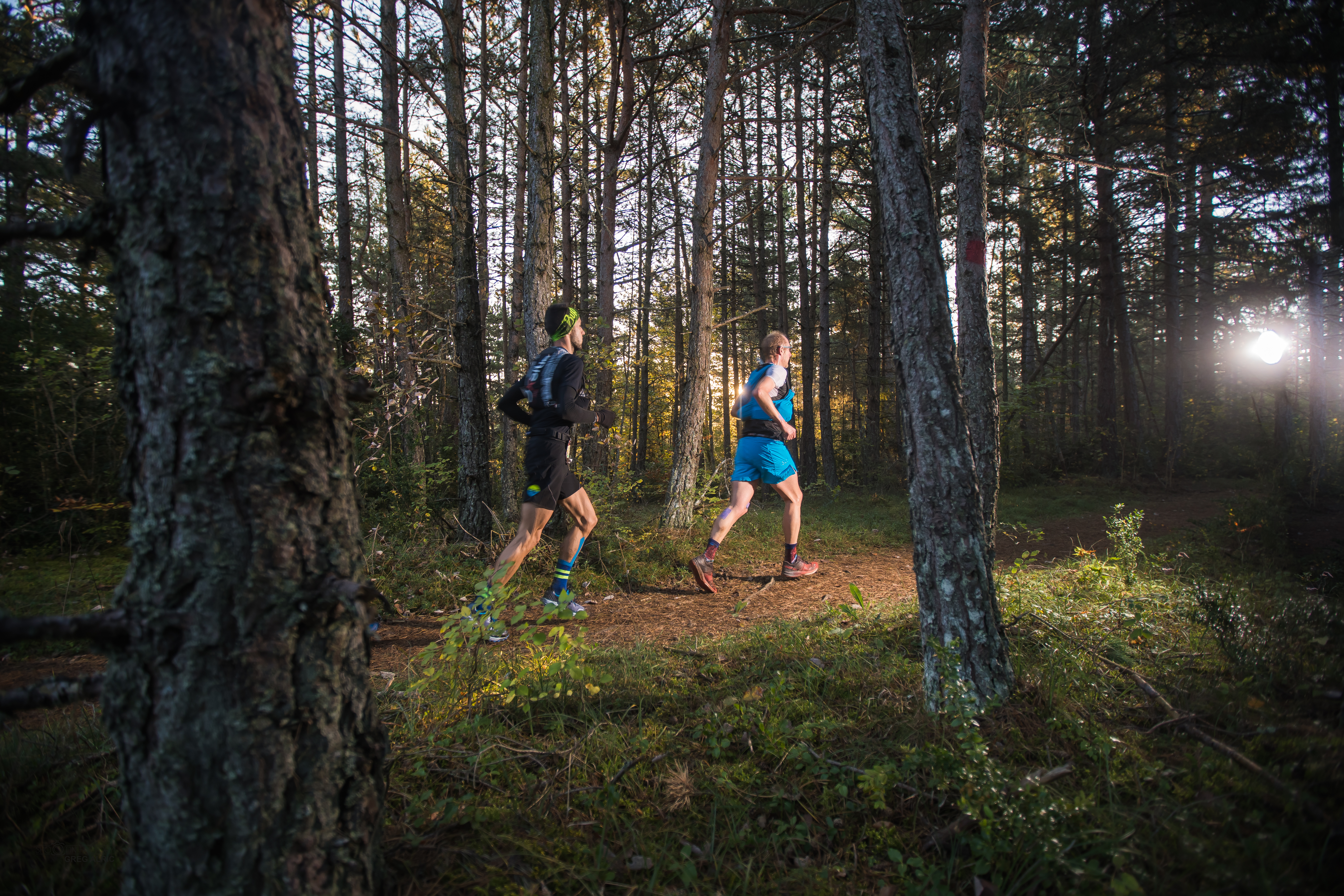 Festival des Templiers 2018