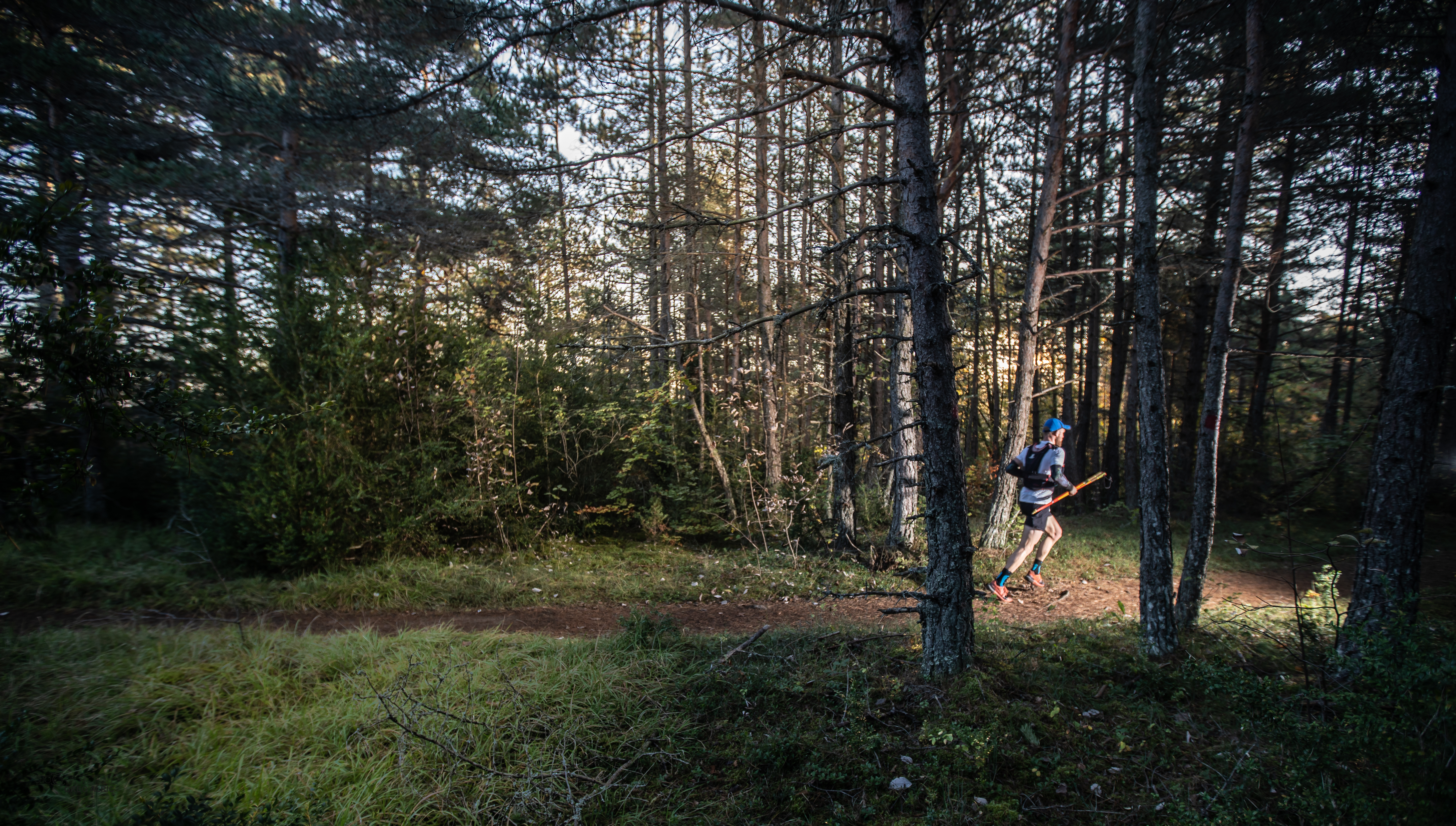 Festival des Templiers 2018