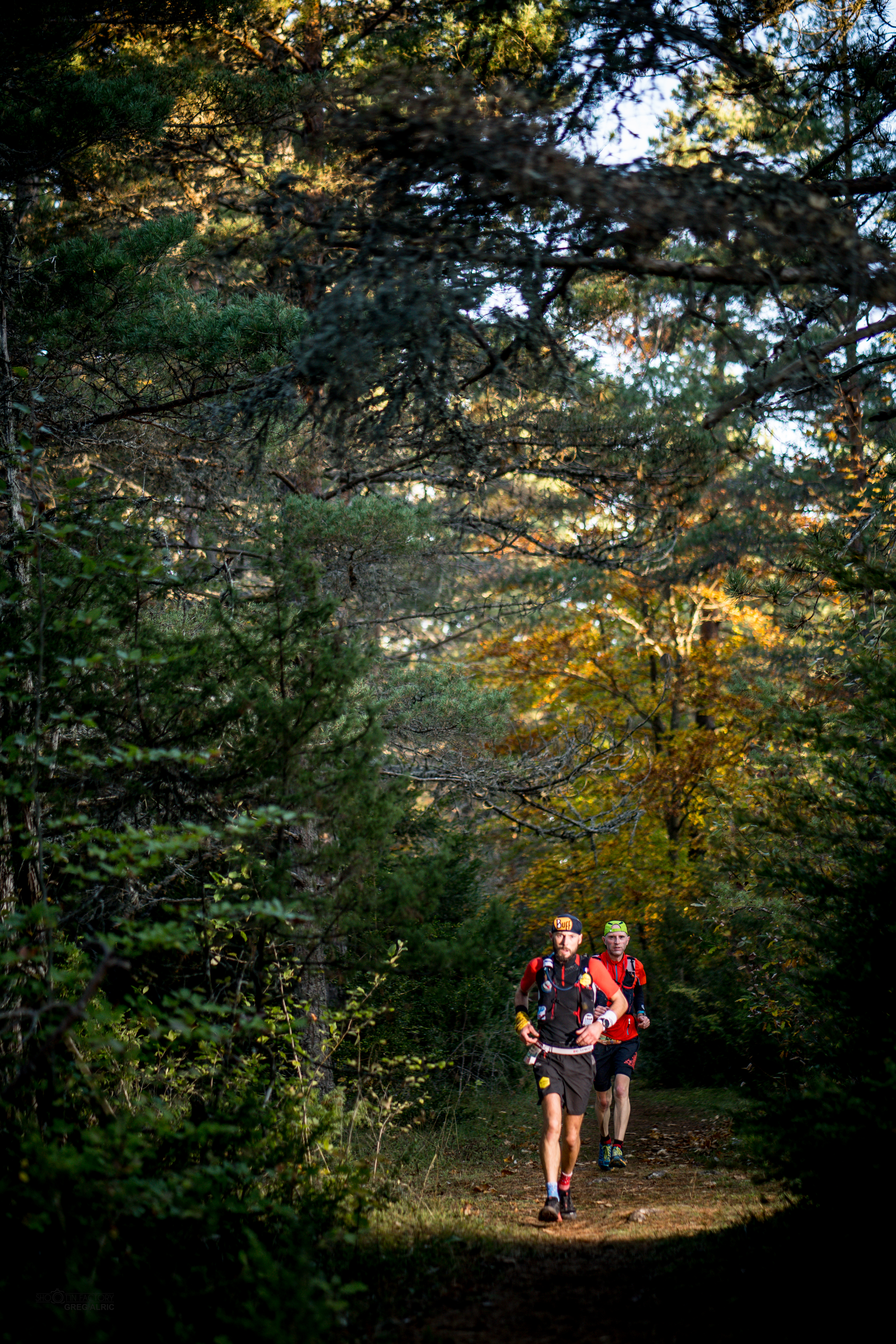 Festival des Templiers 2018