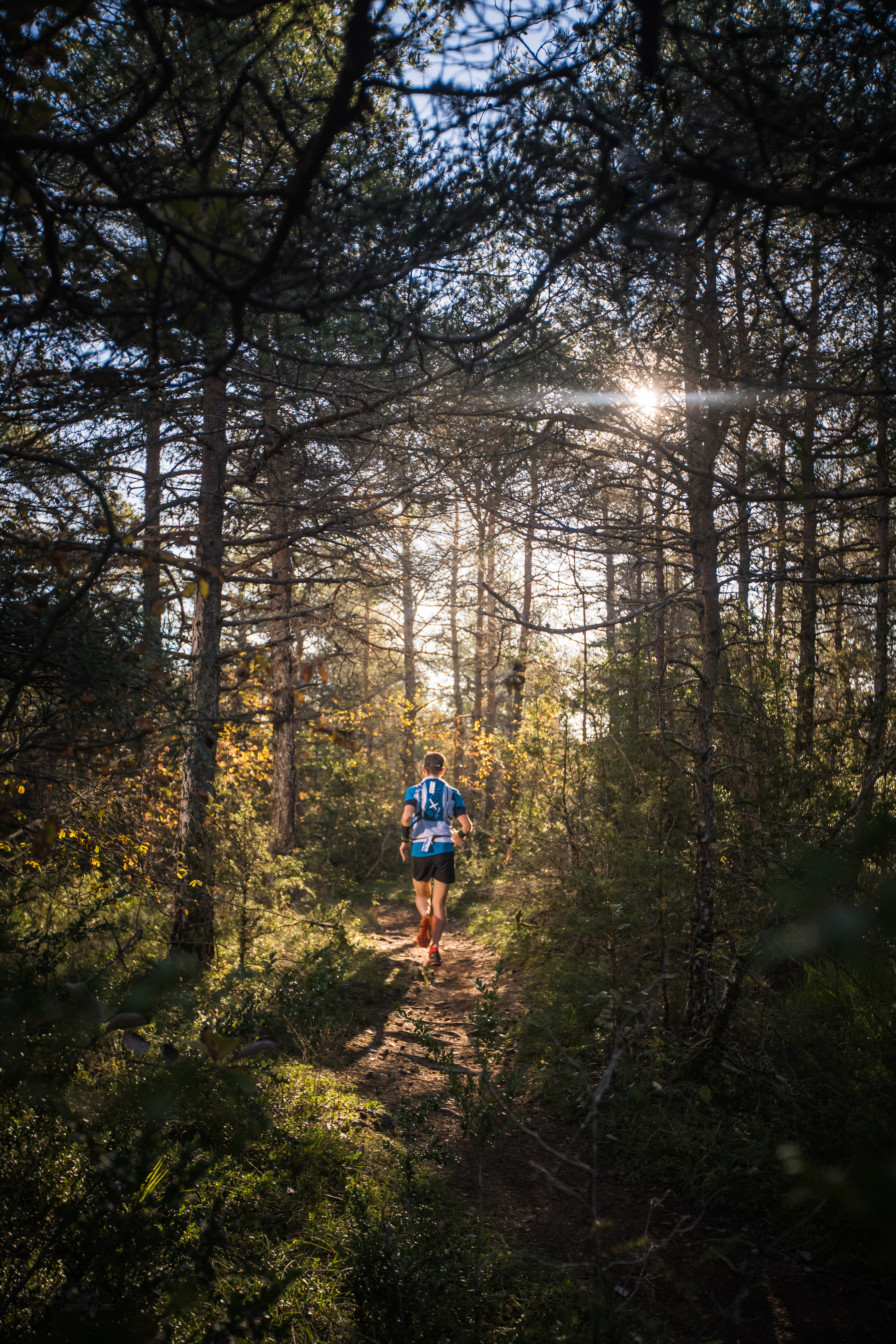 Festival des Templiers 2018