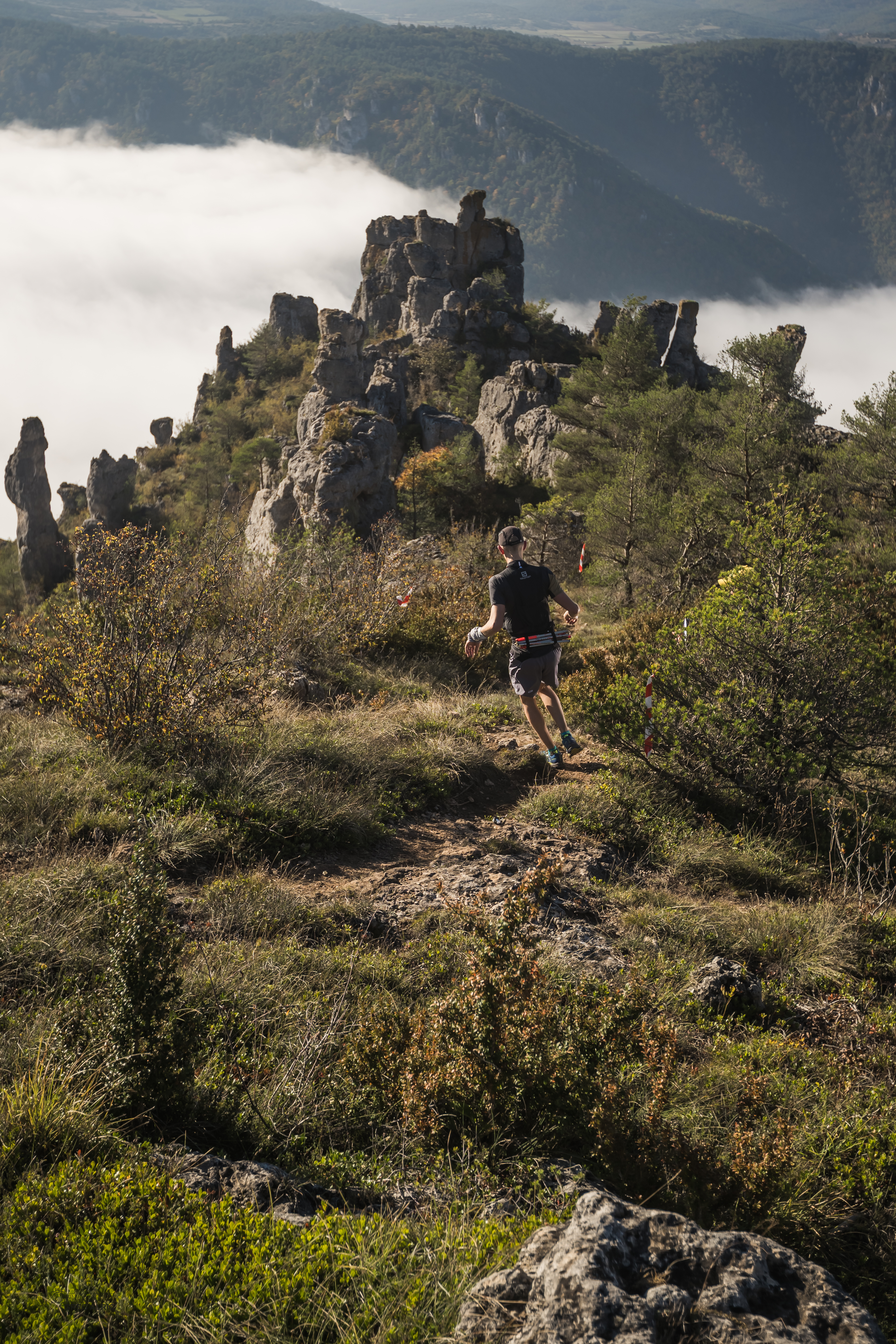 Festival des Templiers 2018