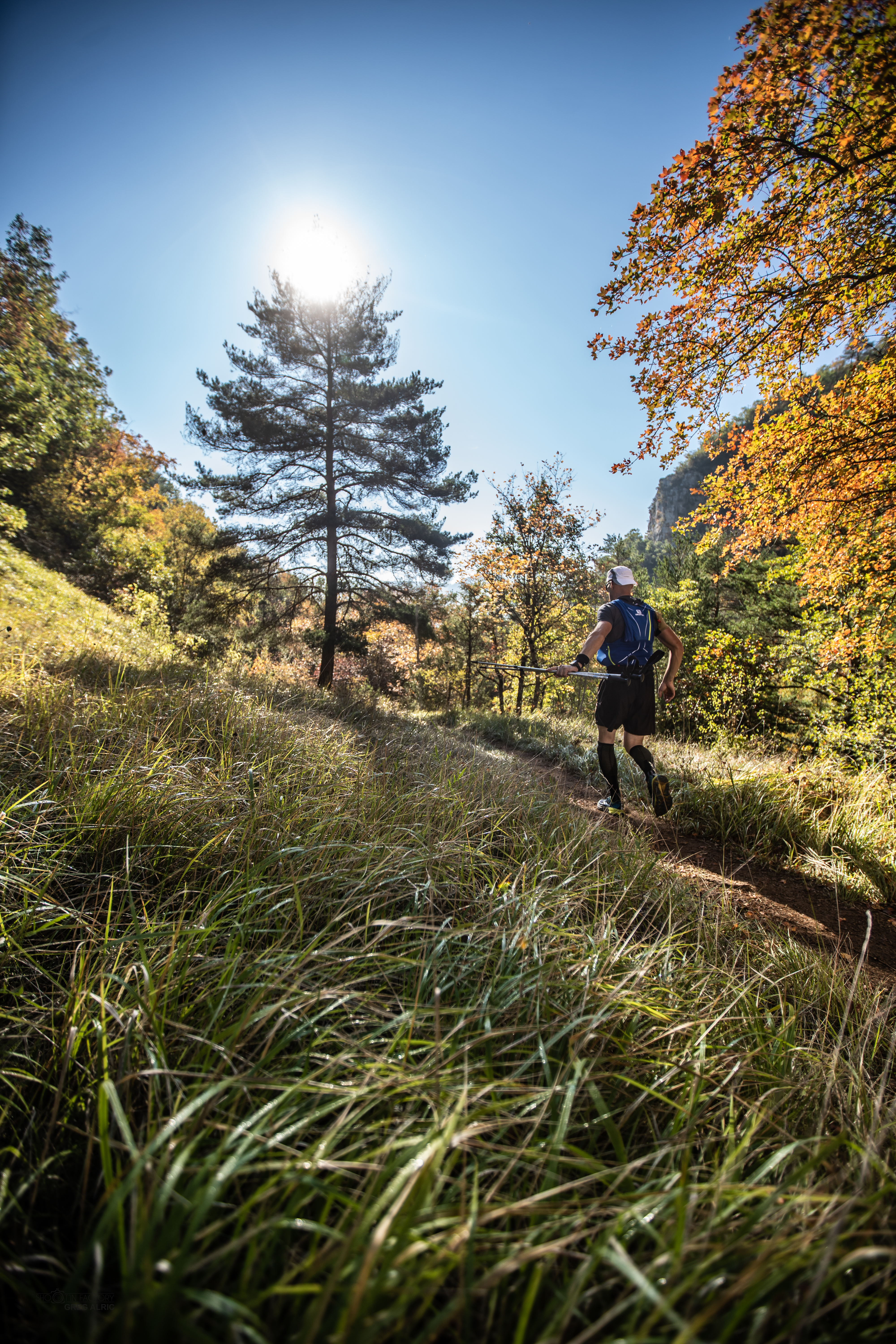 Festival des Templiers 2018