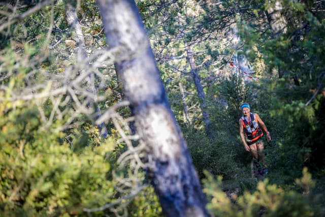 Festival des Templiers 2018