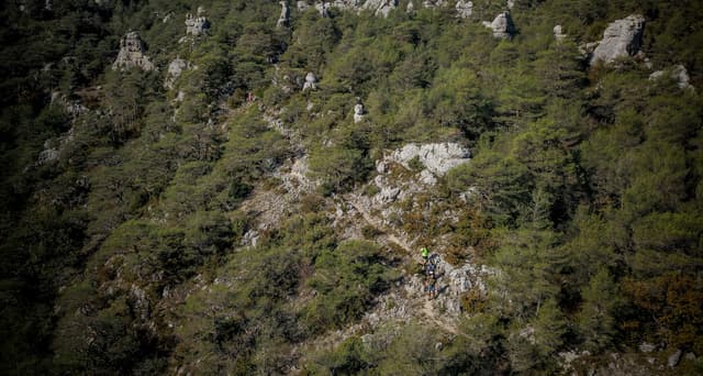 Festival des Templiers 2018