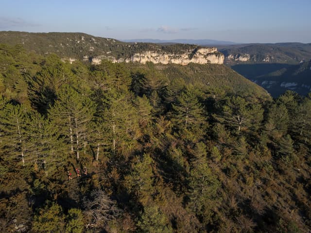 Festival des Templiers 2018