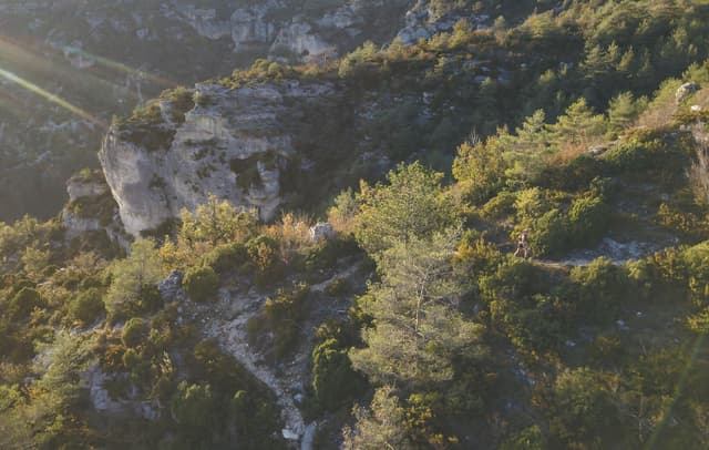 Festival des Templiers 2018