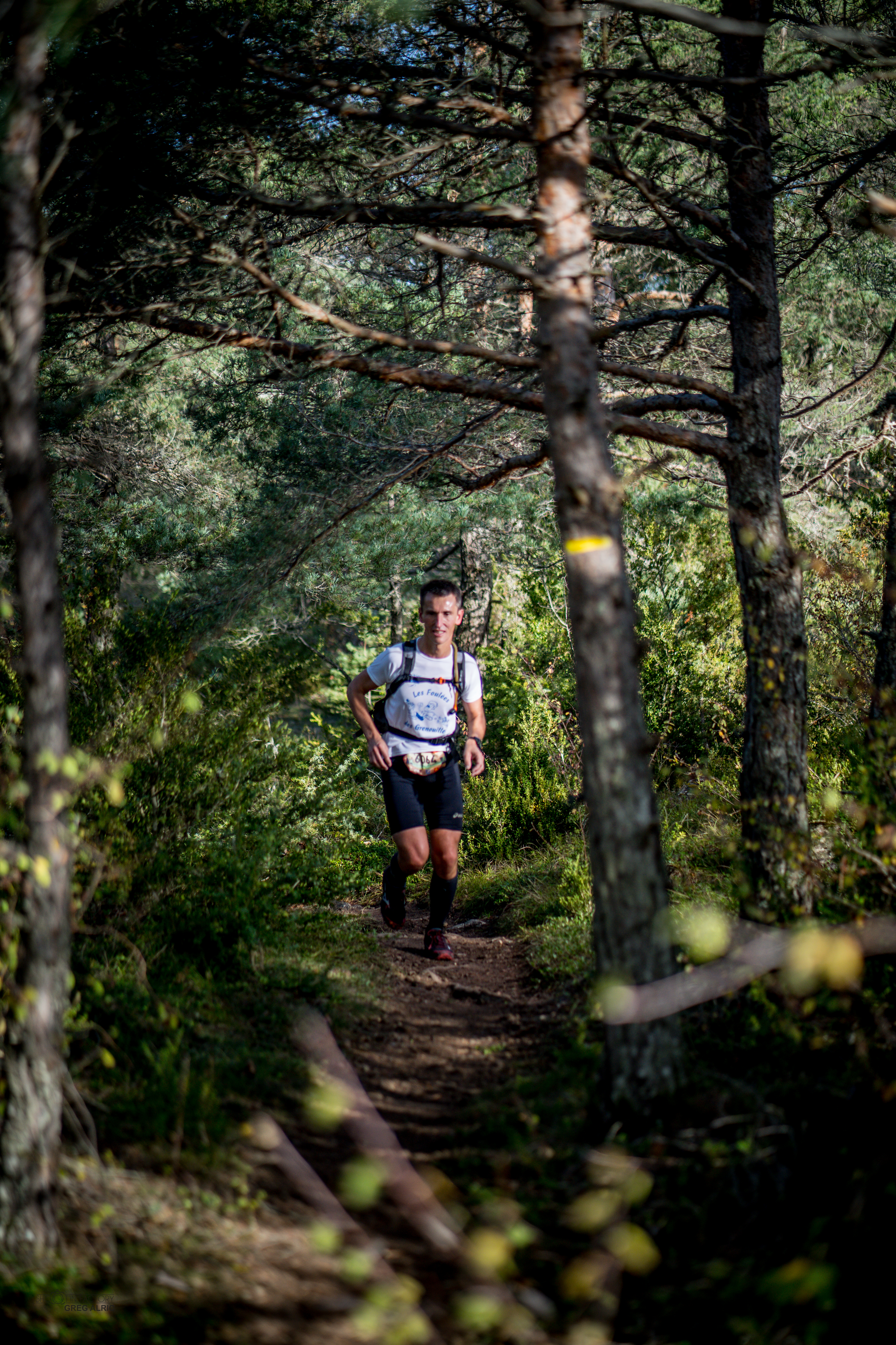 Festival des Templiers 2018