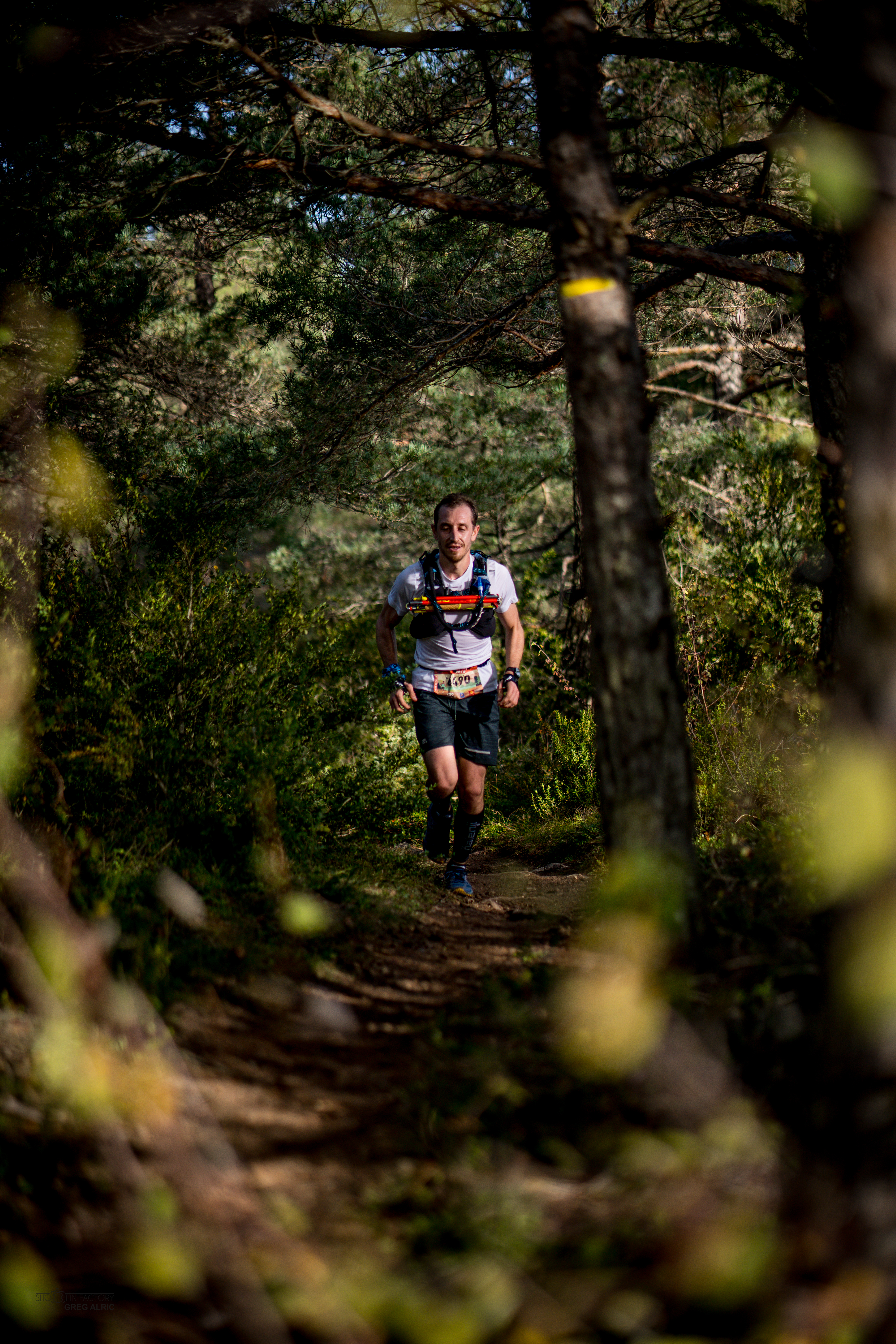 Festival des Templiers 2018
