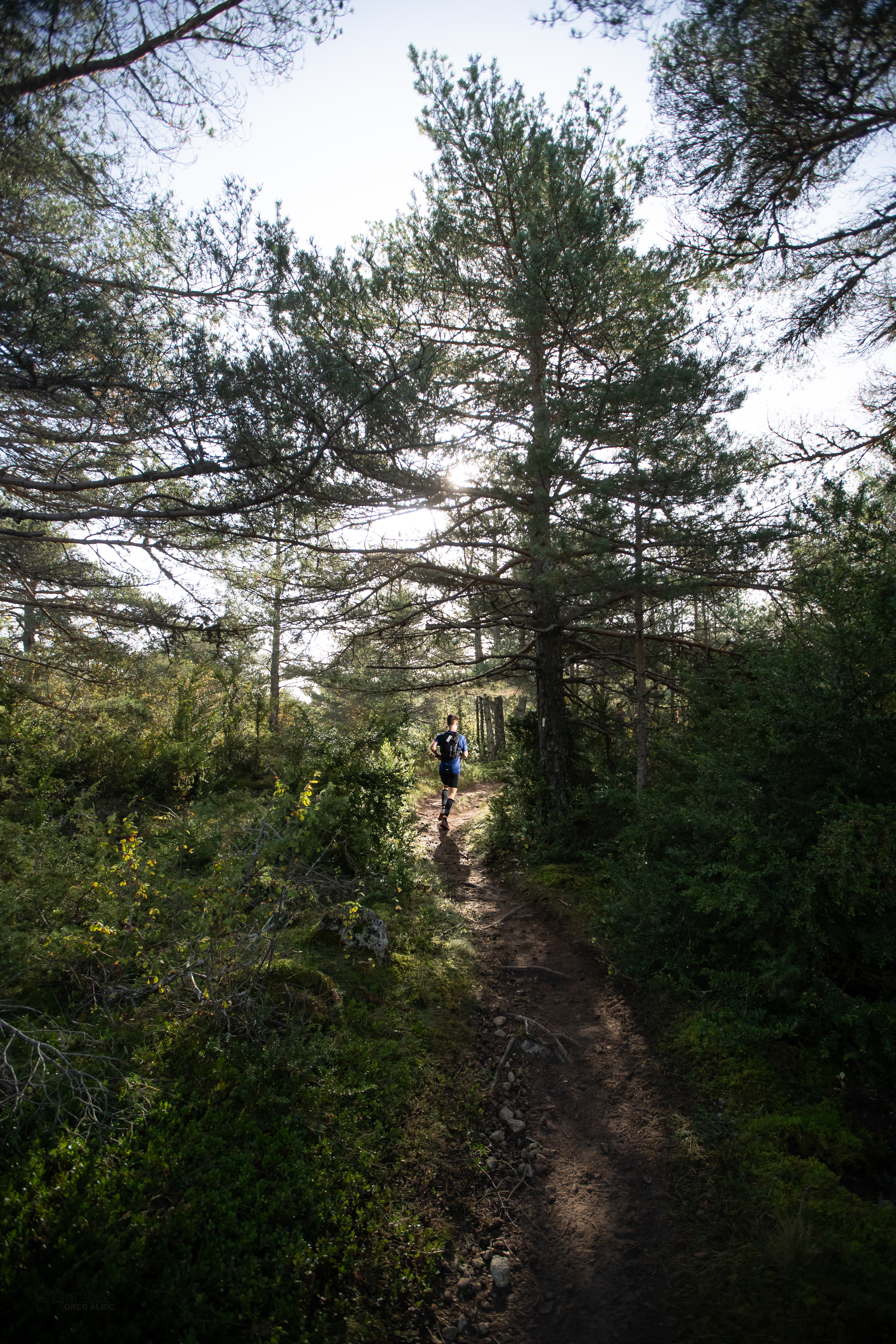 Festival des Templiers 2018
