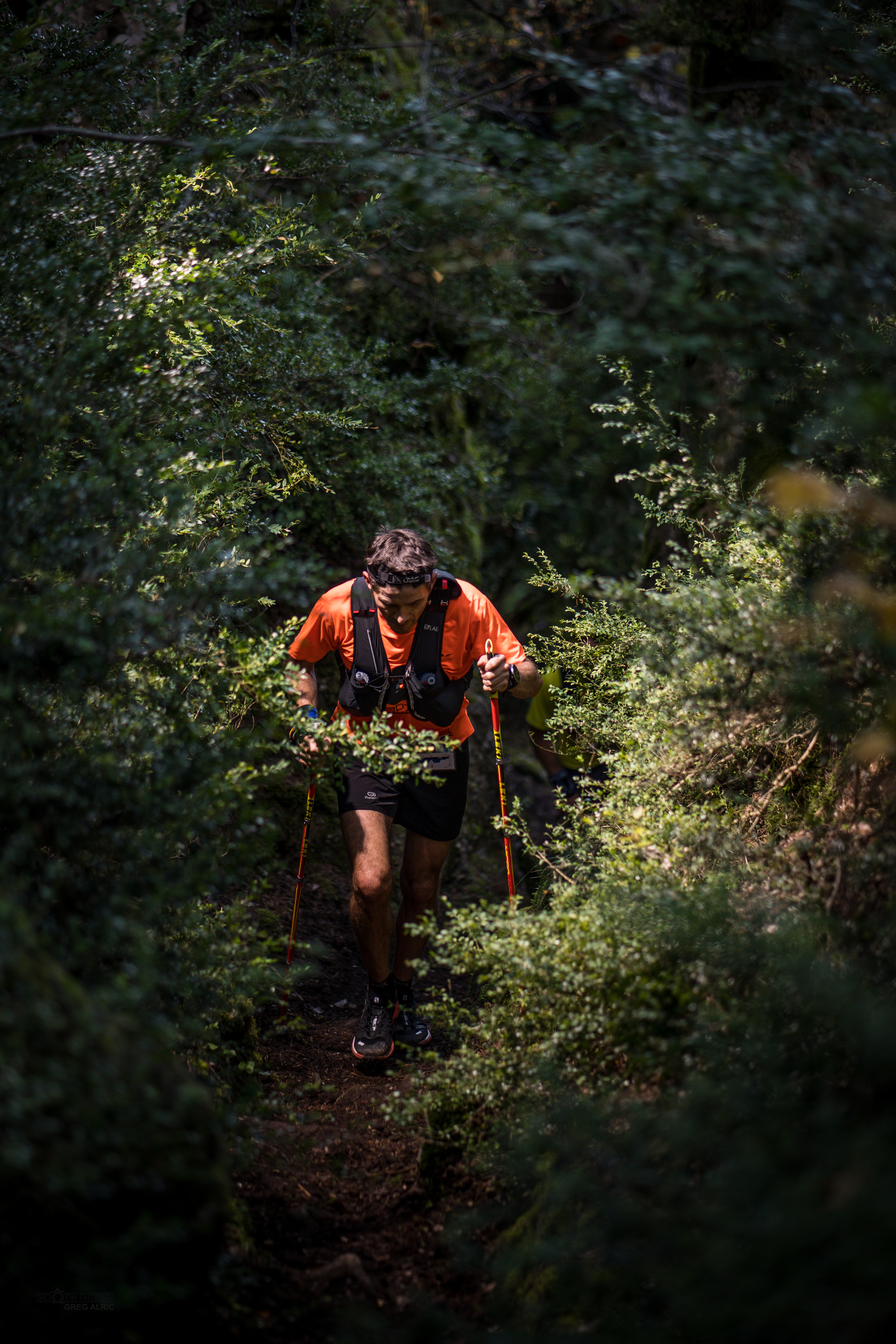 Festival des Templiers 2018