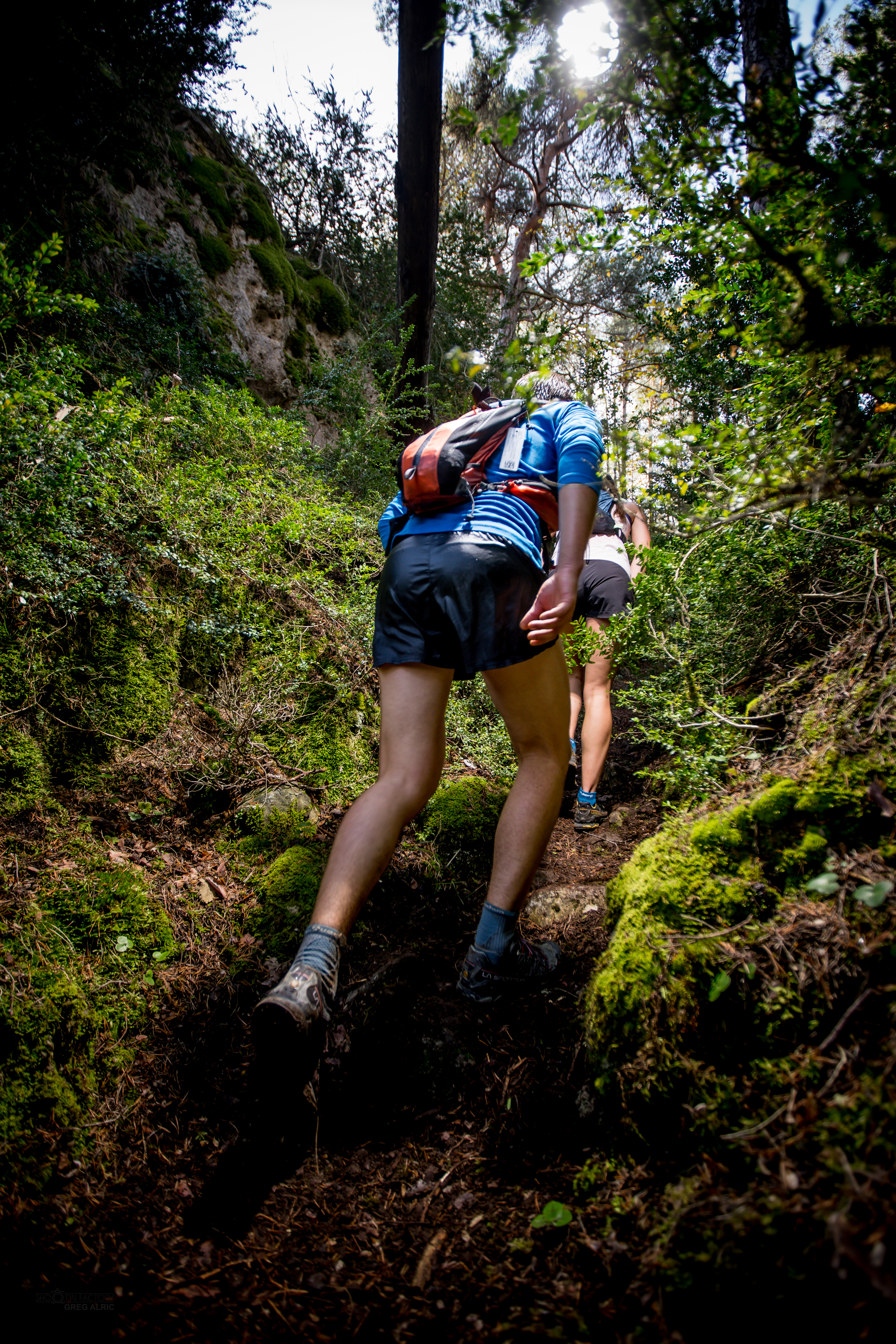 Festival des Templiers 2018