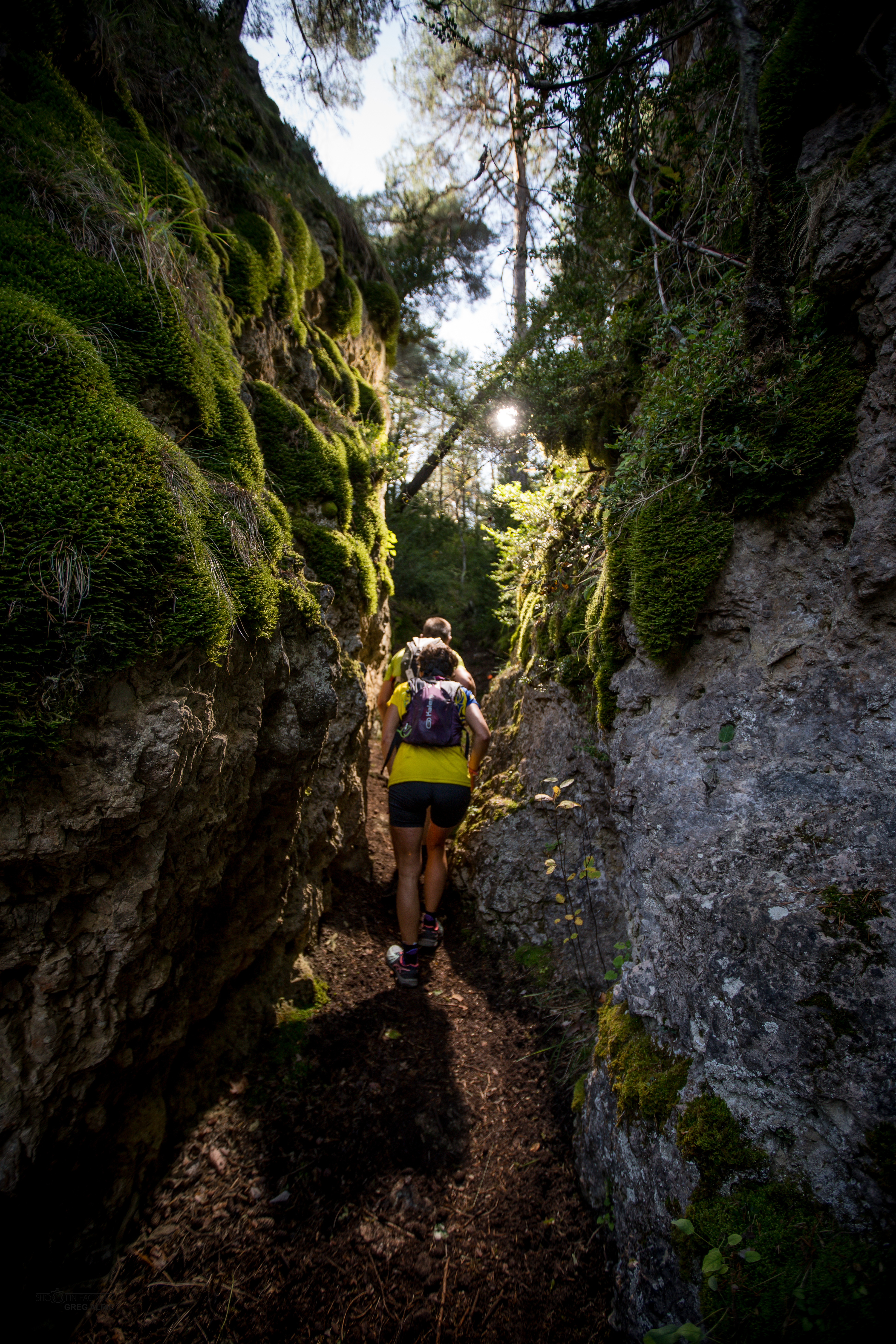 Festival des Templiers 2018