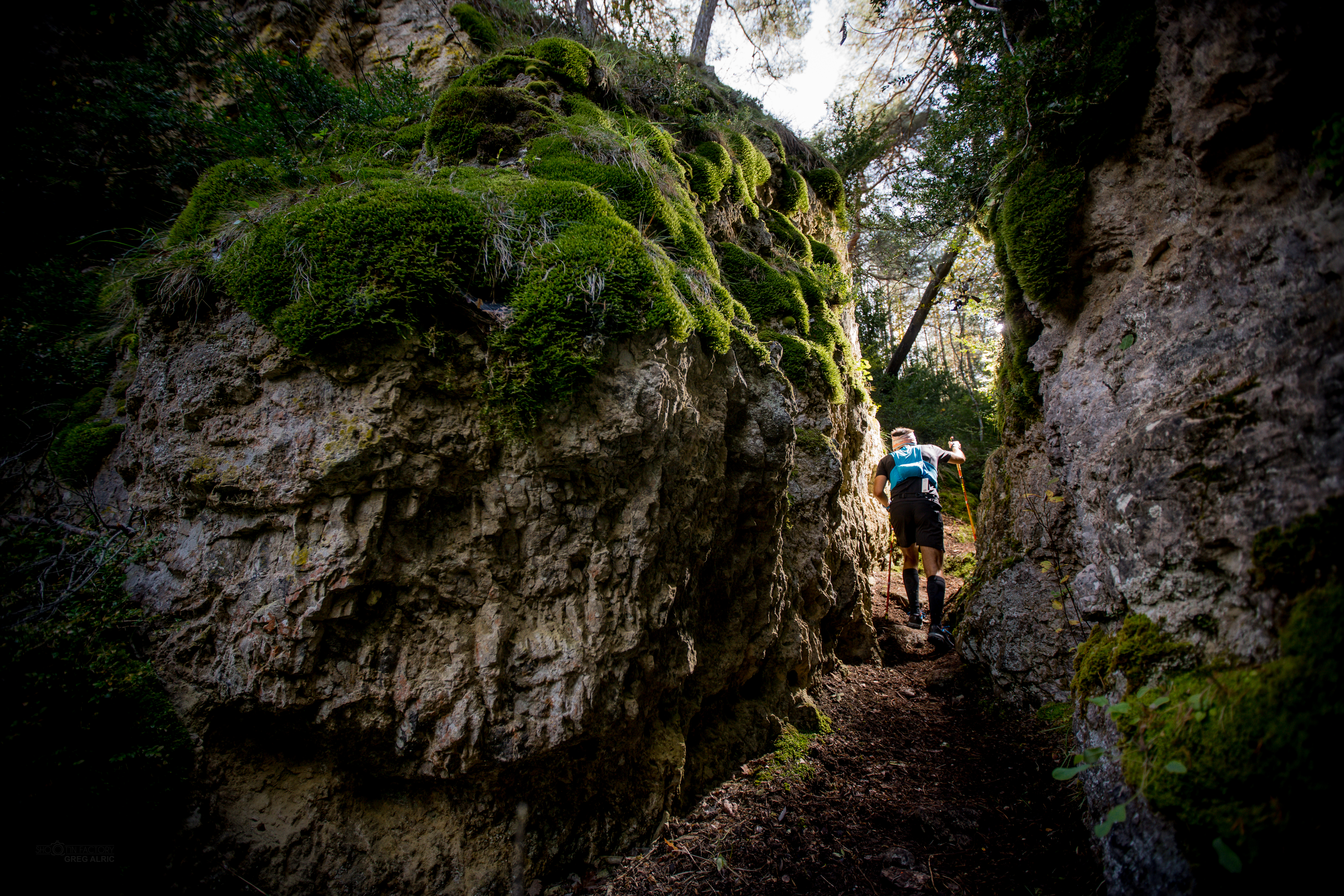 Festival des Templiers 2018