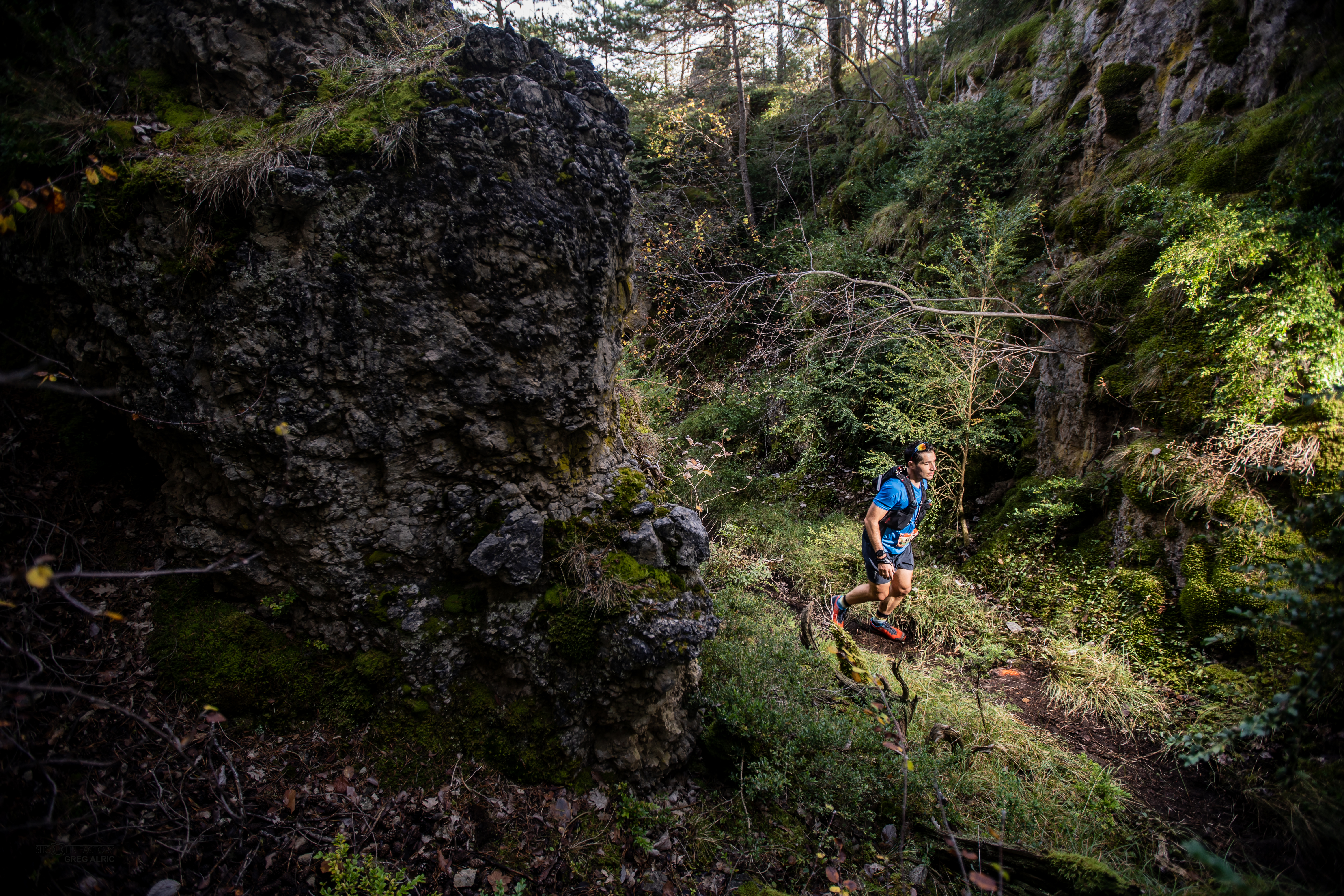 Festival des Templiers 2018