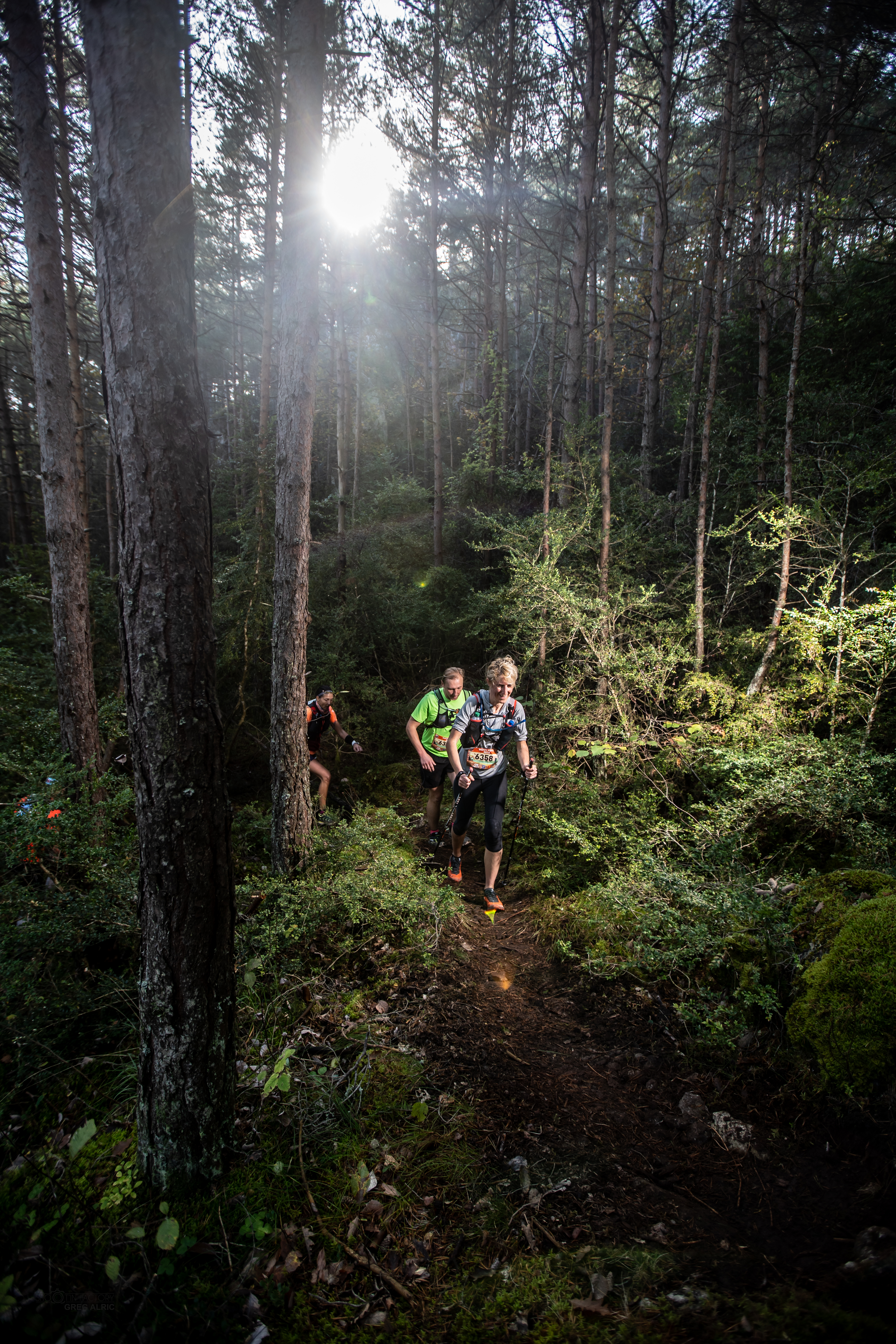 Festival des Templiers 2018