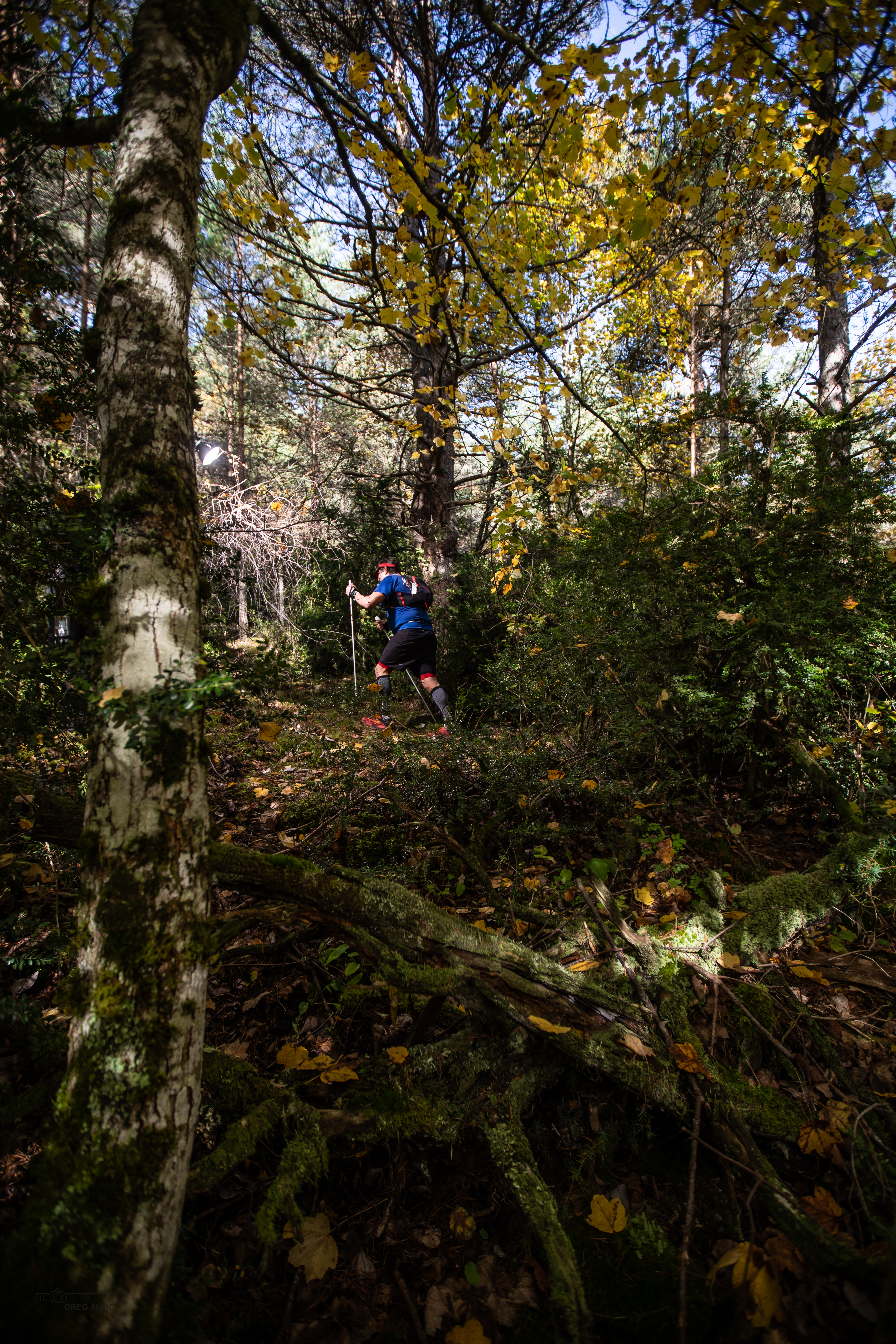 Festival des Templiers 2018