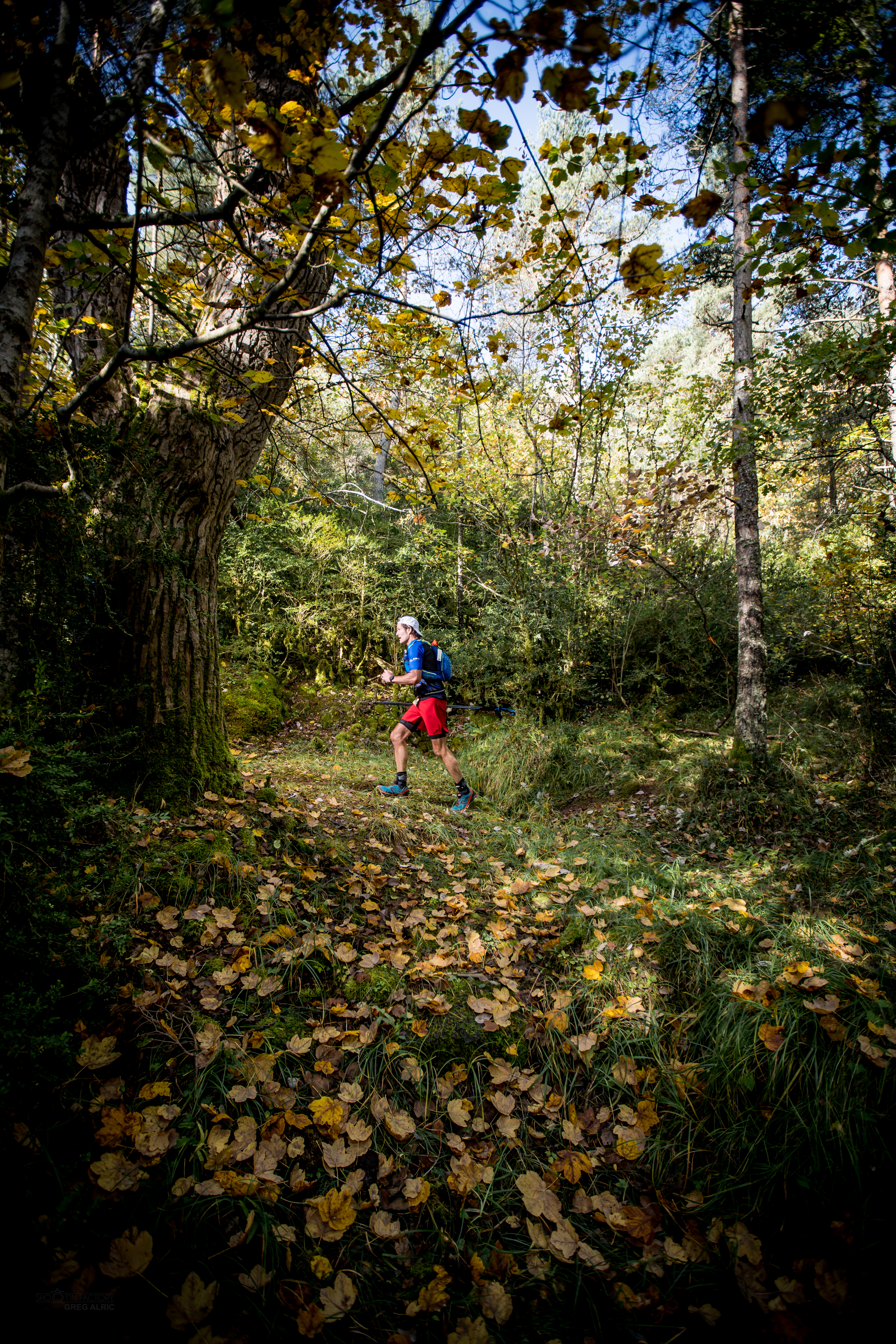 Festival des Templiers 2018