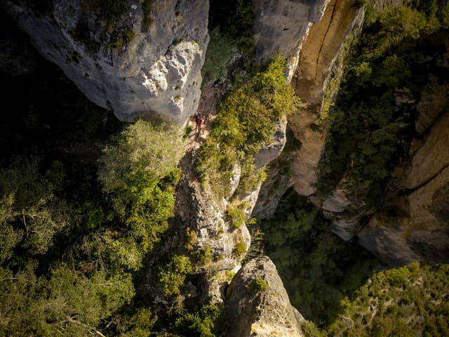 Festival des Templiers 2018
