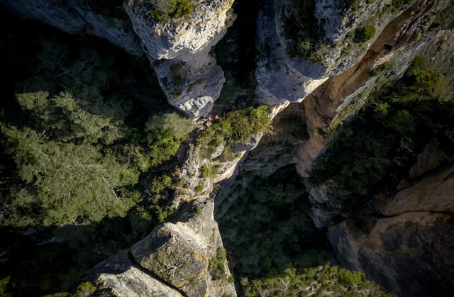 Festival des Templiers 2018