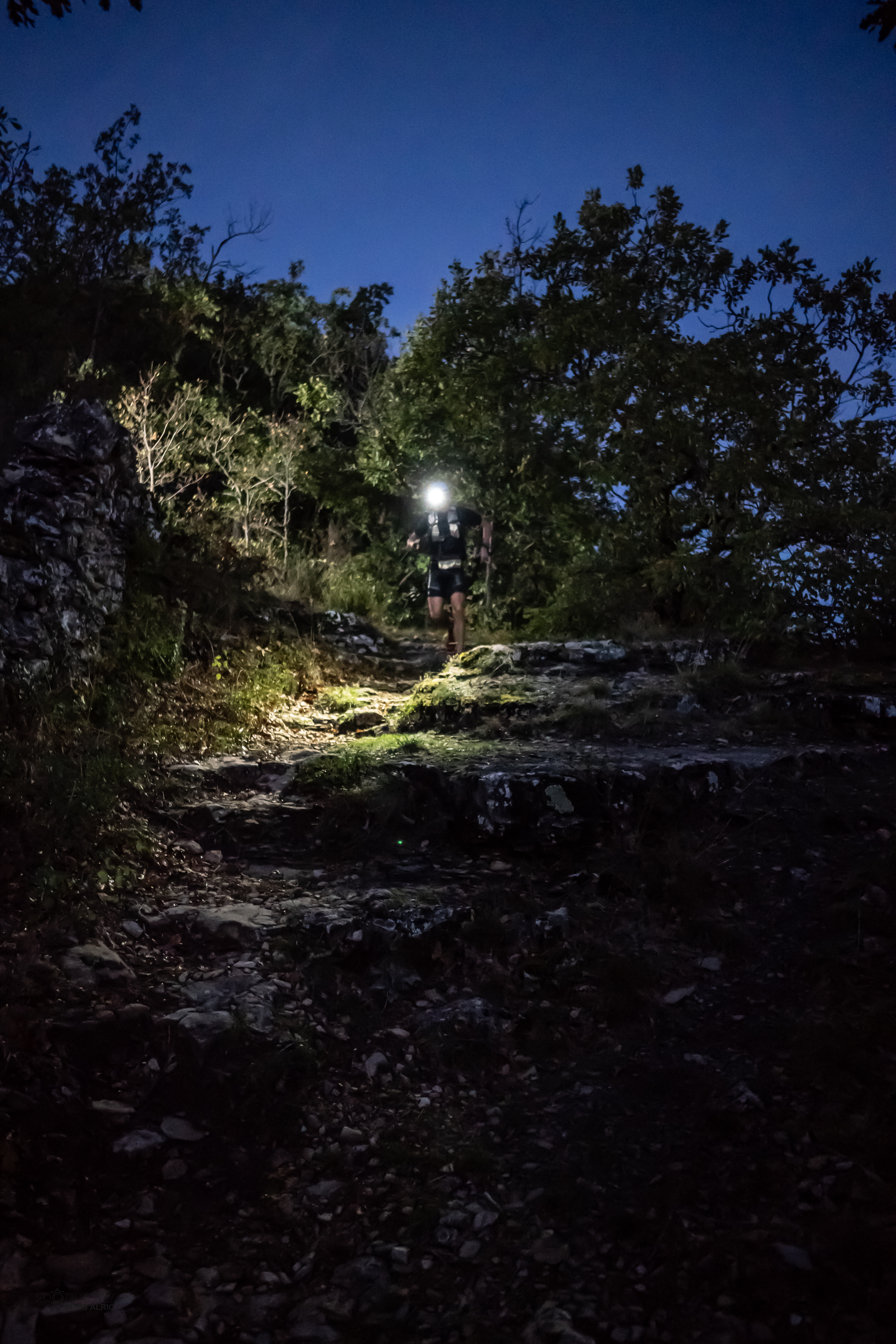 Festival des Templiers 2018