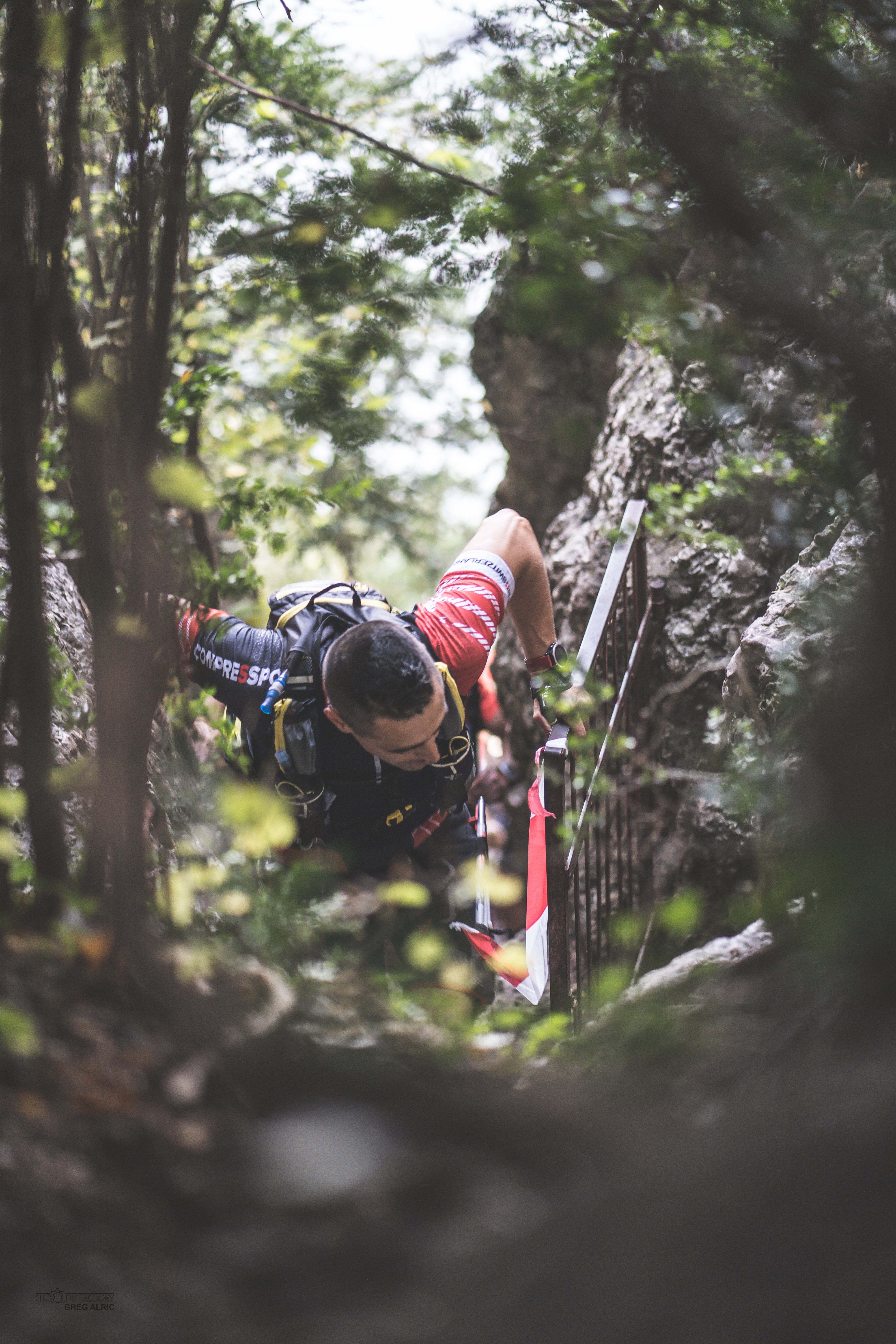 Festival des Templiers 2018
