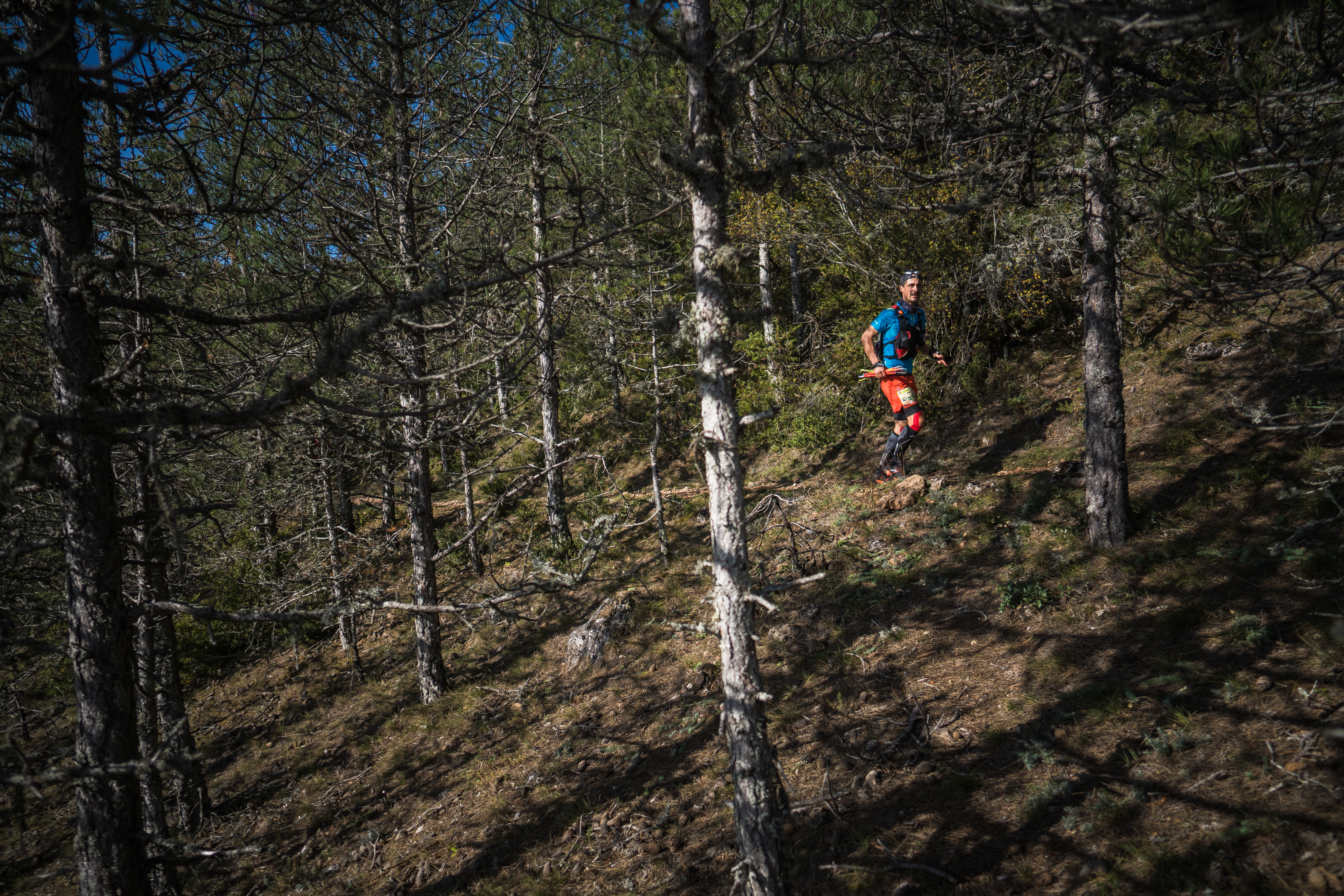 Festival des Templiers 2018