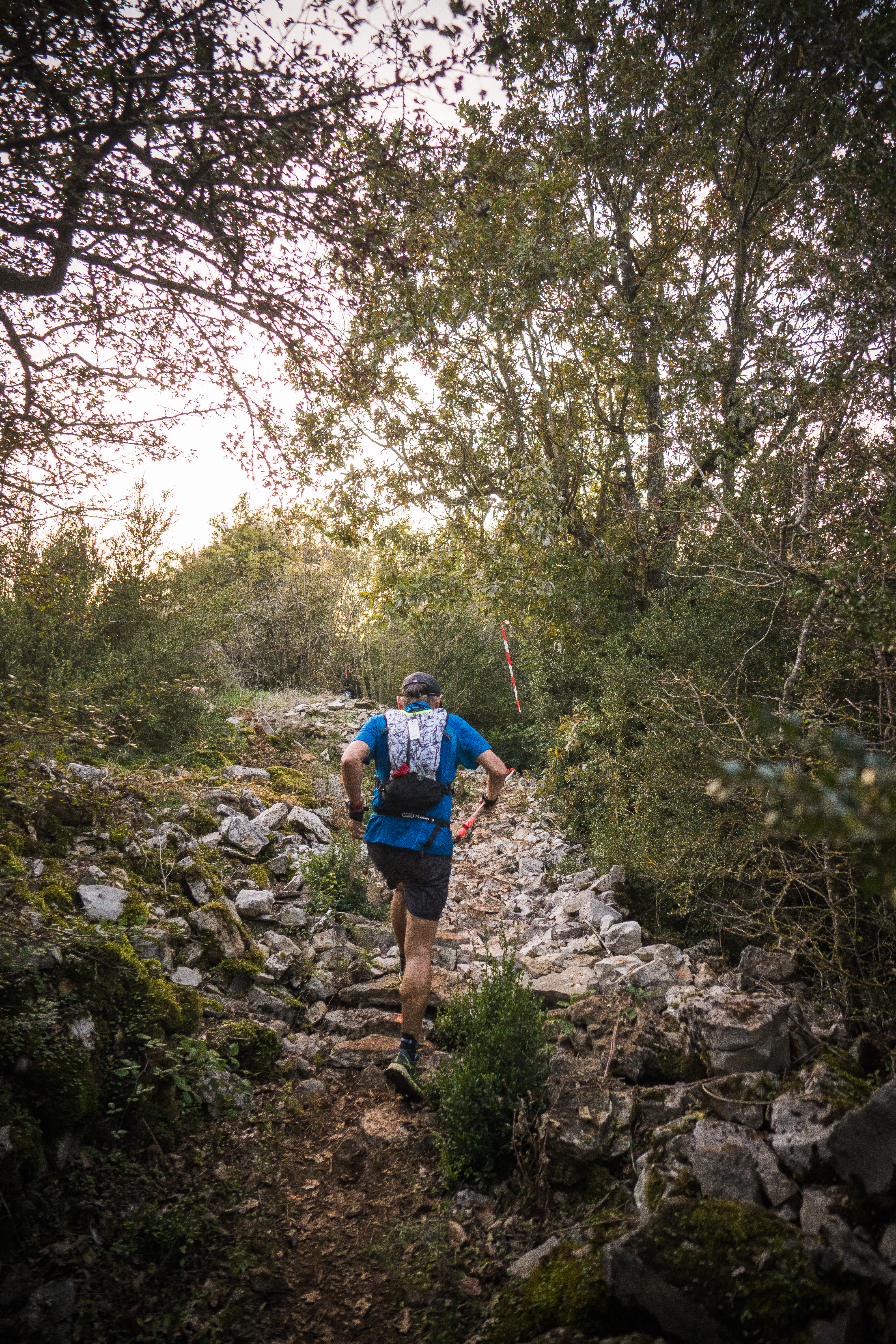 Festival des Templiers 2018